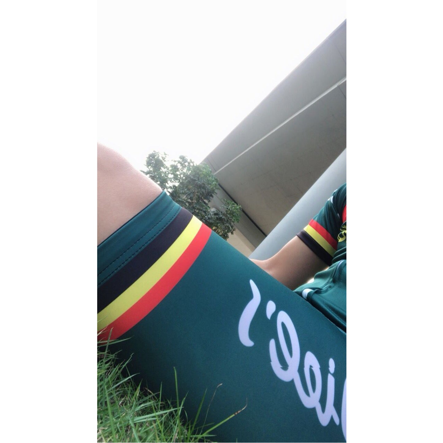 Wiee's Groene Leeuw Green Vintage Short Sleeve Cycling Jersey Top